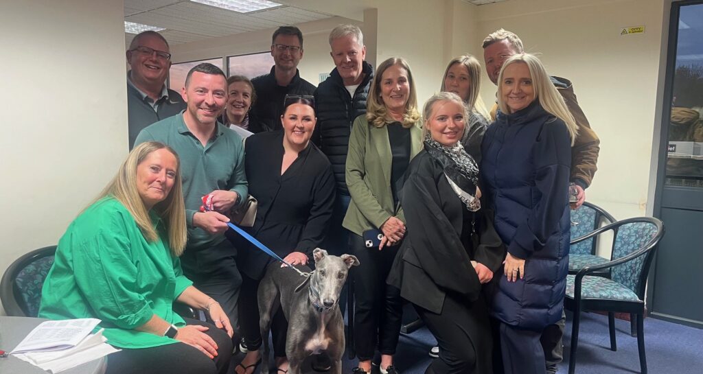 Harlow dogs thumbnail